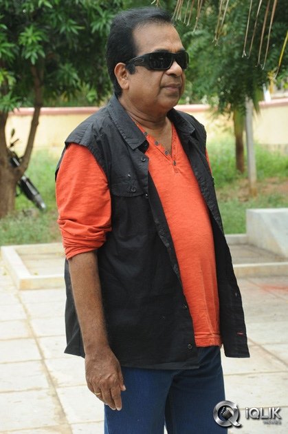 Brahmanandam-About-Alludu-Seenu-Movie